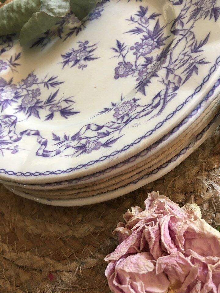 Six plates serves iron land U & C Sarreguemines collection "Thorn".