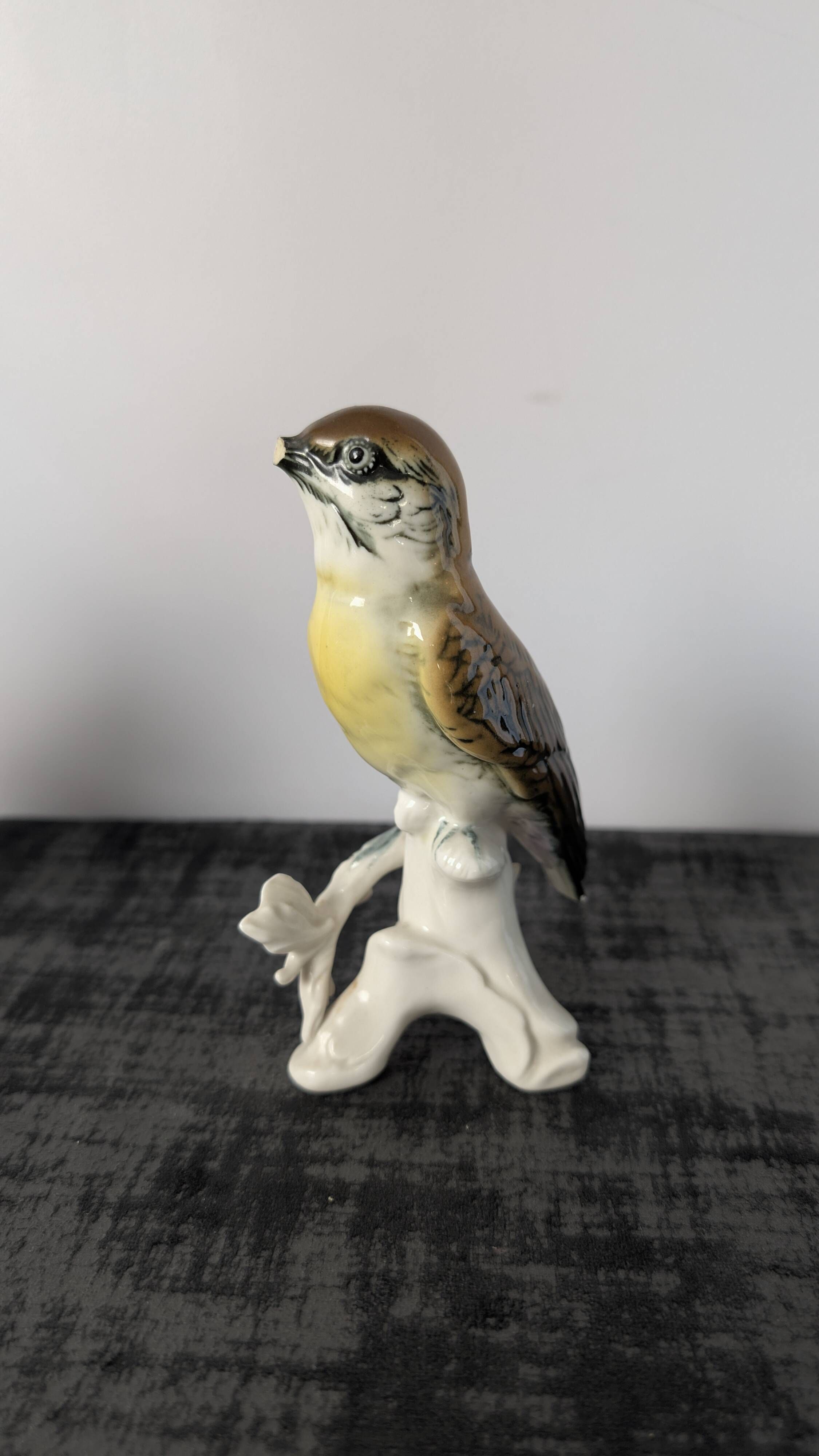 Pair of Karl Ens polychrome porcelain birds from Saxony