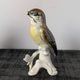 Pair of Karl Ens polychrome porcelain birds from Saxony