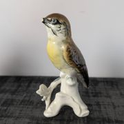 Paire d’oiseaux Karl Ens en porcelaine polychrome de Saxe