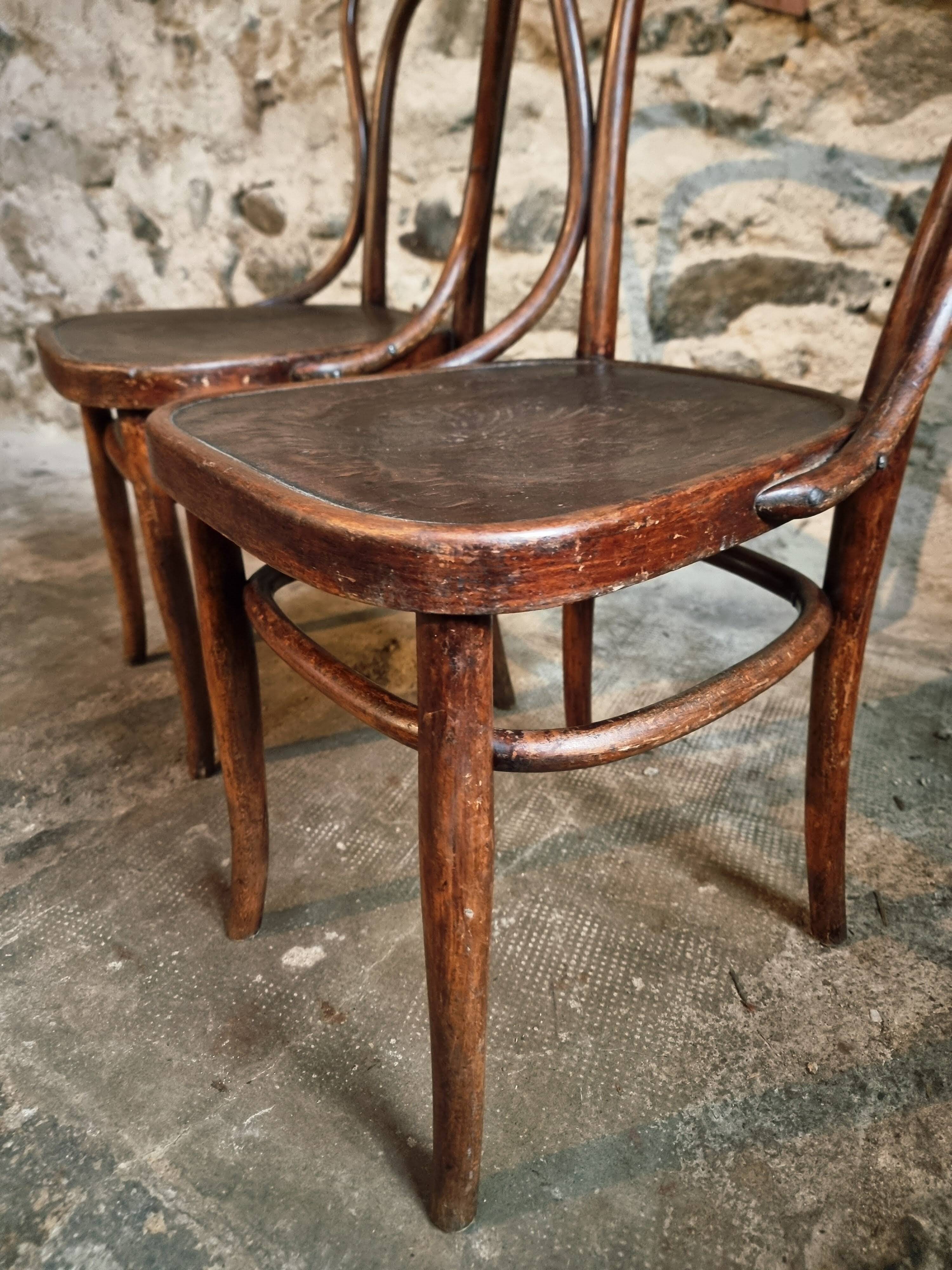 Pair of curved wooden chairs by Jacob & Josef Kohn, Vienna circa 1900