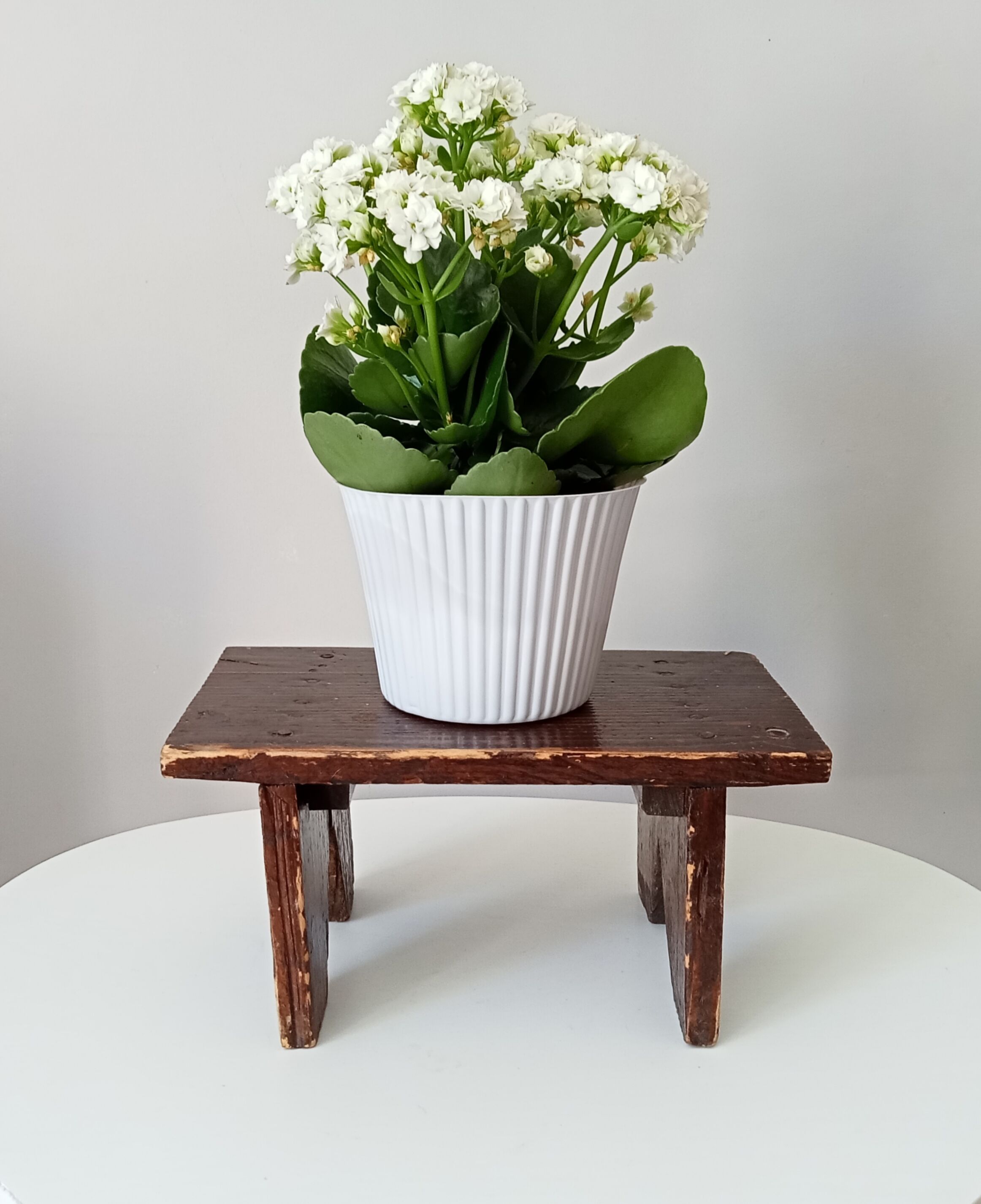 Vintage milking stool