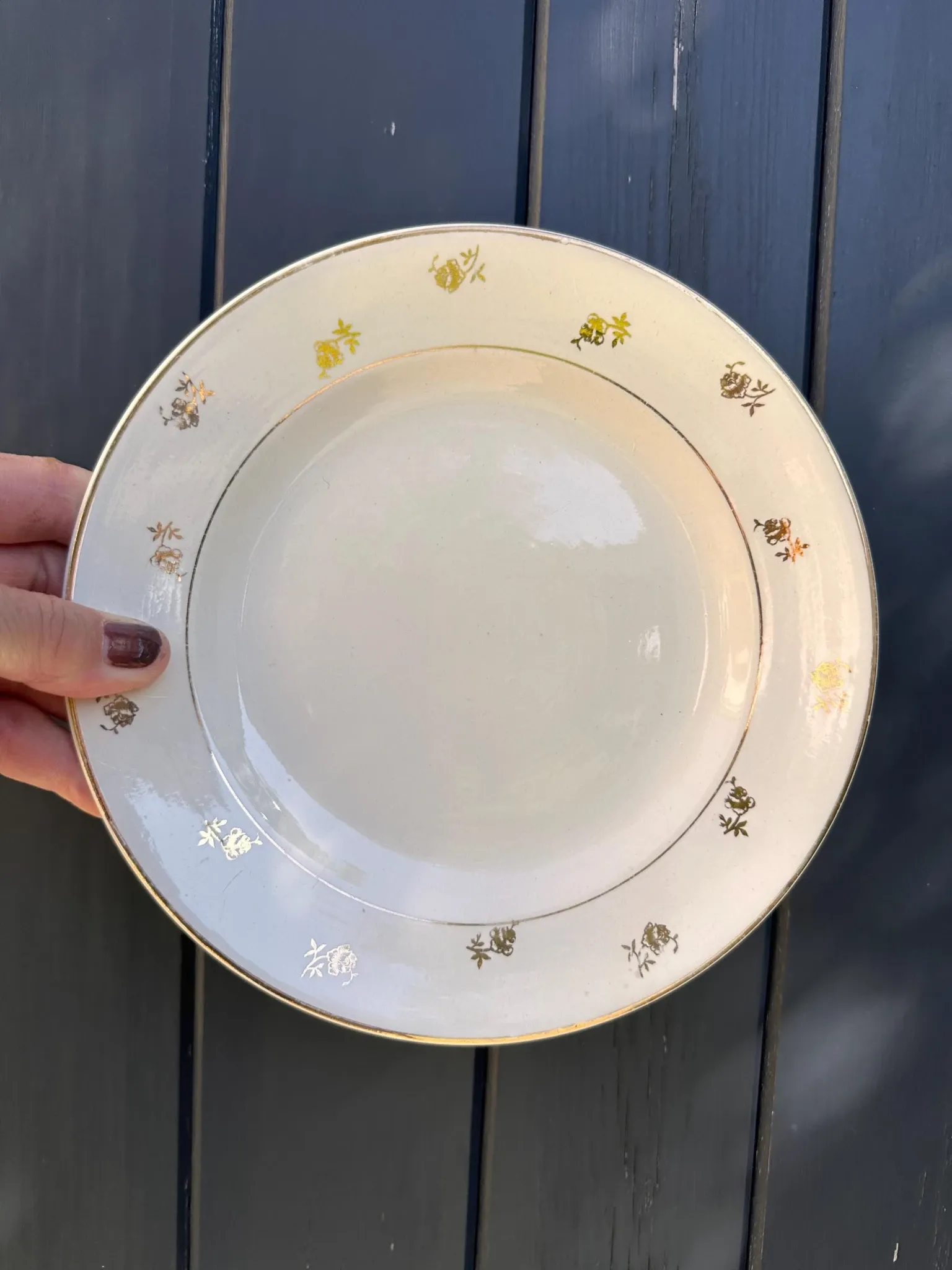 Dessert plates earthenware Digoin Sarreguemines Galibier, set of 6