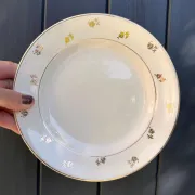 Dessert plates earthenware Digoin Sarreguemines Galibier, set of 6