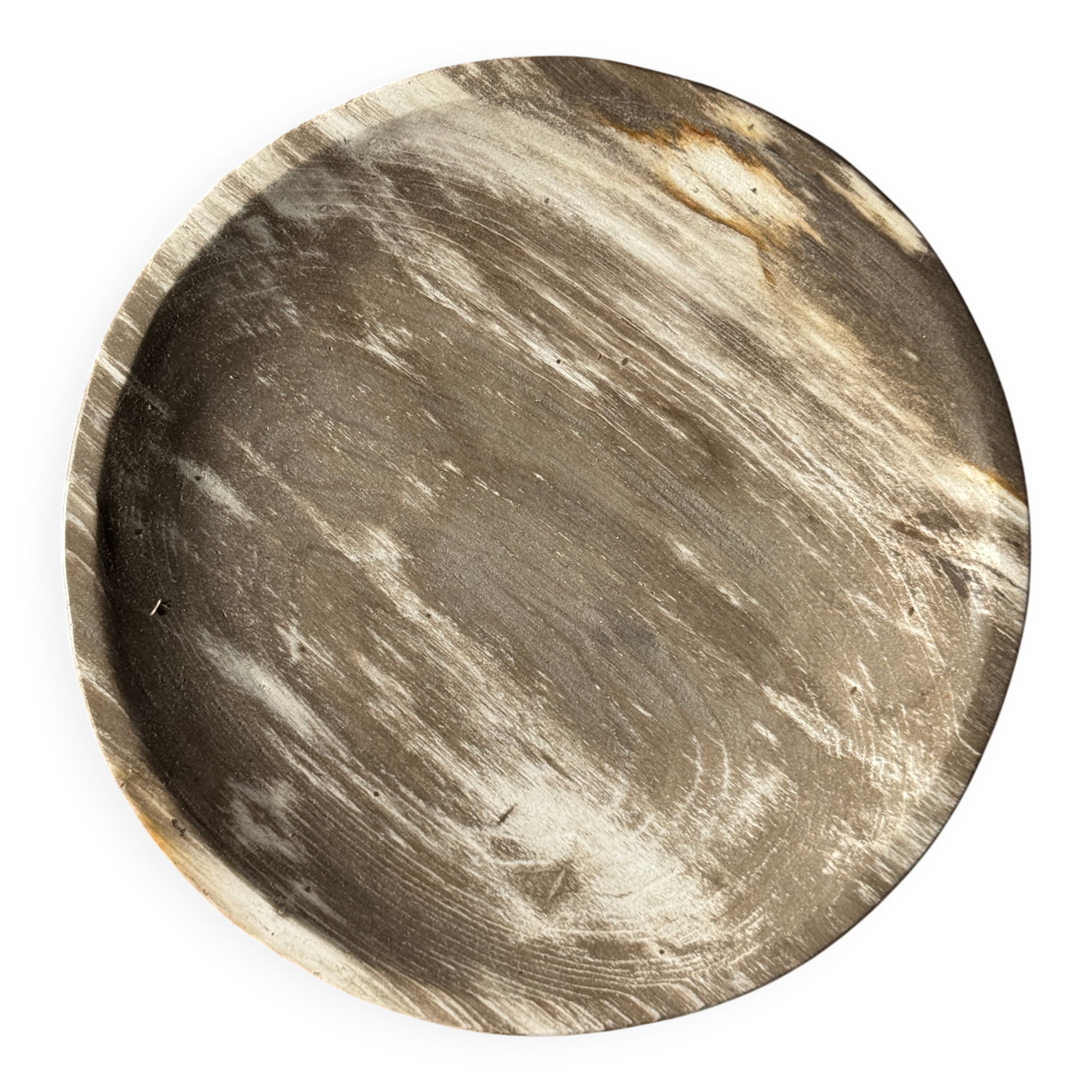 Petrified wood vide poche, circular dish or plate in light beige D25.