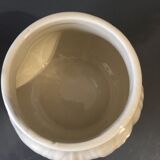 Candy representing a fungus