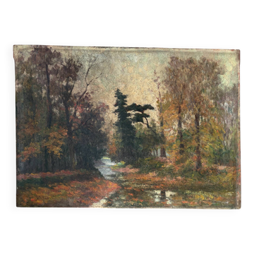 Oil on canvas "River in the Woods"