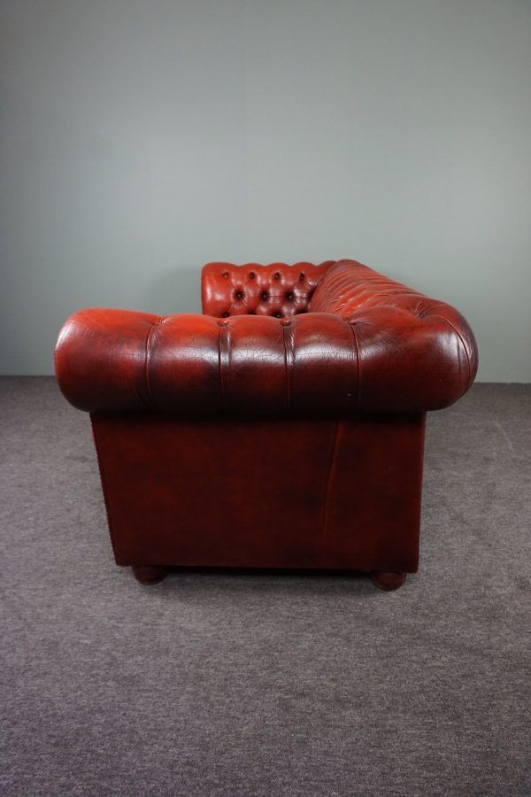 Chesterfield sofa 3 places in cowhide leather