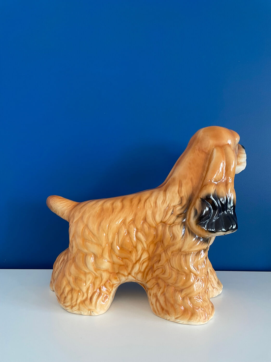 English Cocker Spaniel Dog Status