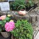 Watering can ball in red copper / vintage 60s-70s