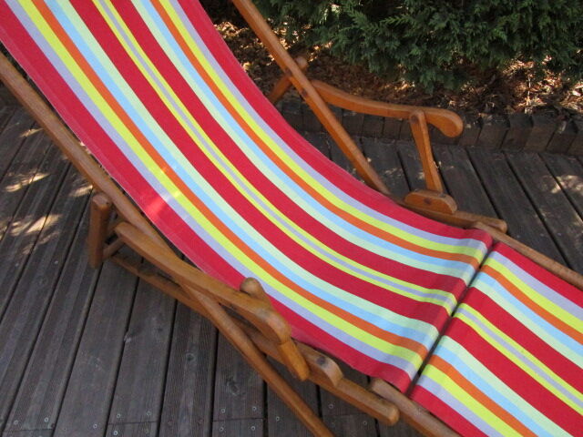 Ancient Chilean Transatlantic