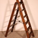 19th century library ladder