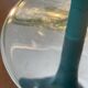 Alessi "Mama" fruit bowl