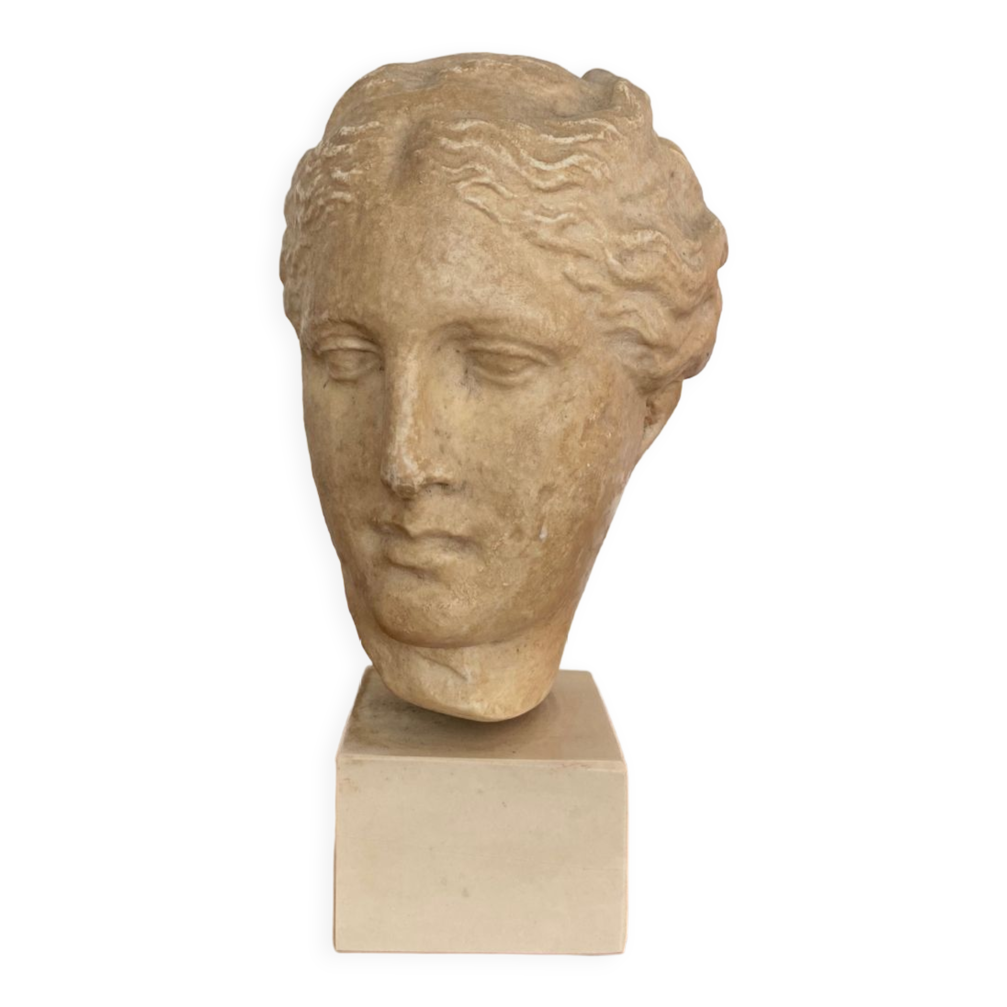 Head of a greek goddess in stone