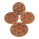 Scallop shell plates St Jacques by SECLA Portugal Barbotine