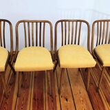 Dining Chairs attributed to A. Suman for Tatra Nabytok, Czechoslovakia, 196