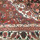 Tapis d'iran najafabad 221x323cm