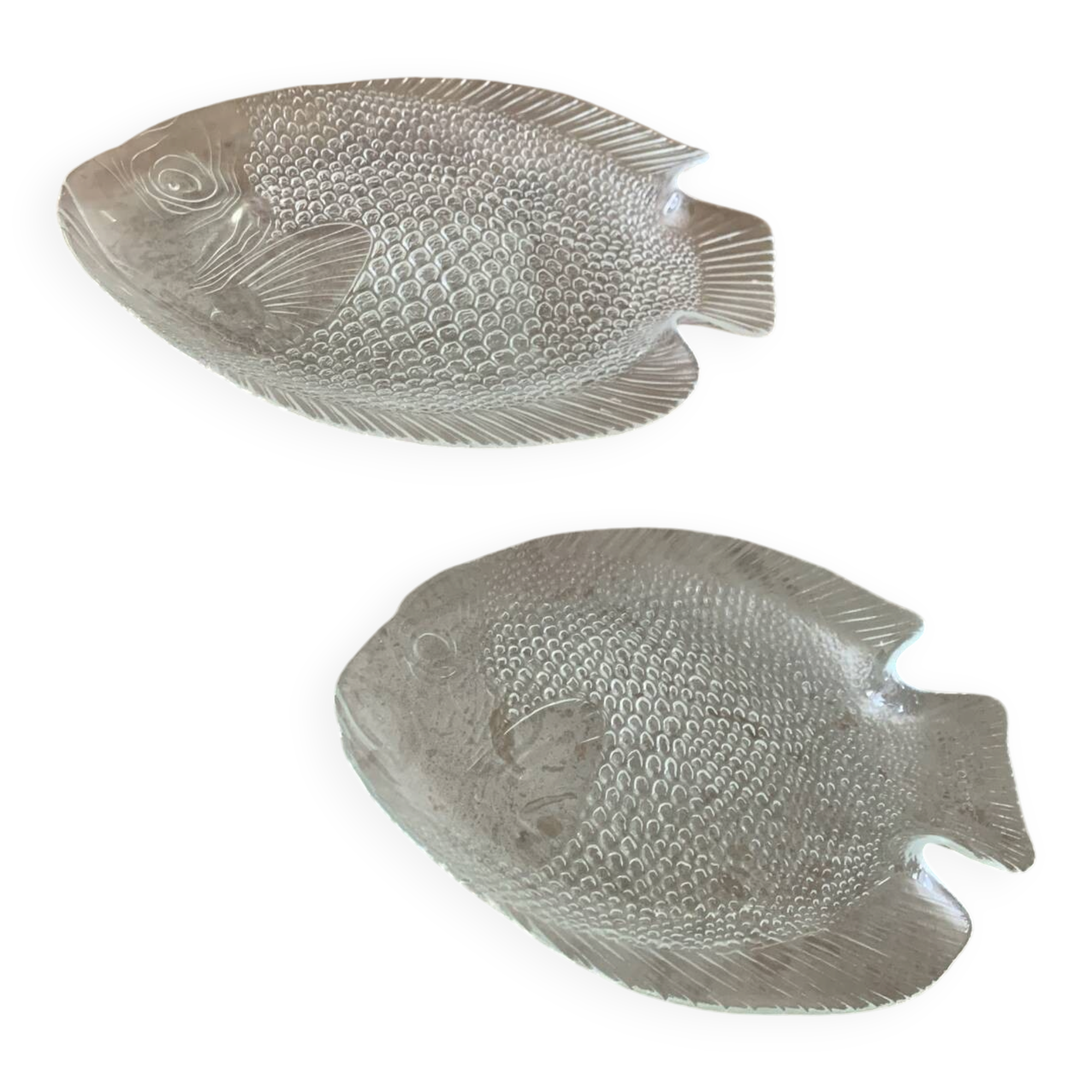 Arcoroc dishes for Codec