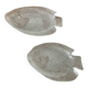 Arcoroc dishes for Codec