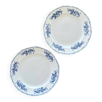 Antique mounted plates