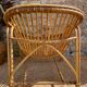 Rattan basket chair