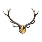 Massacre trophé