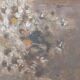 Giuseppe manfredi (1934 - 1987) oil painting still life flowers 70 x