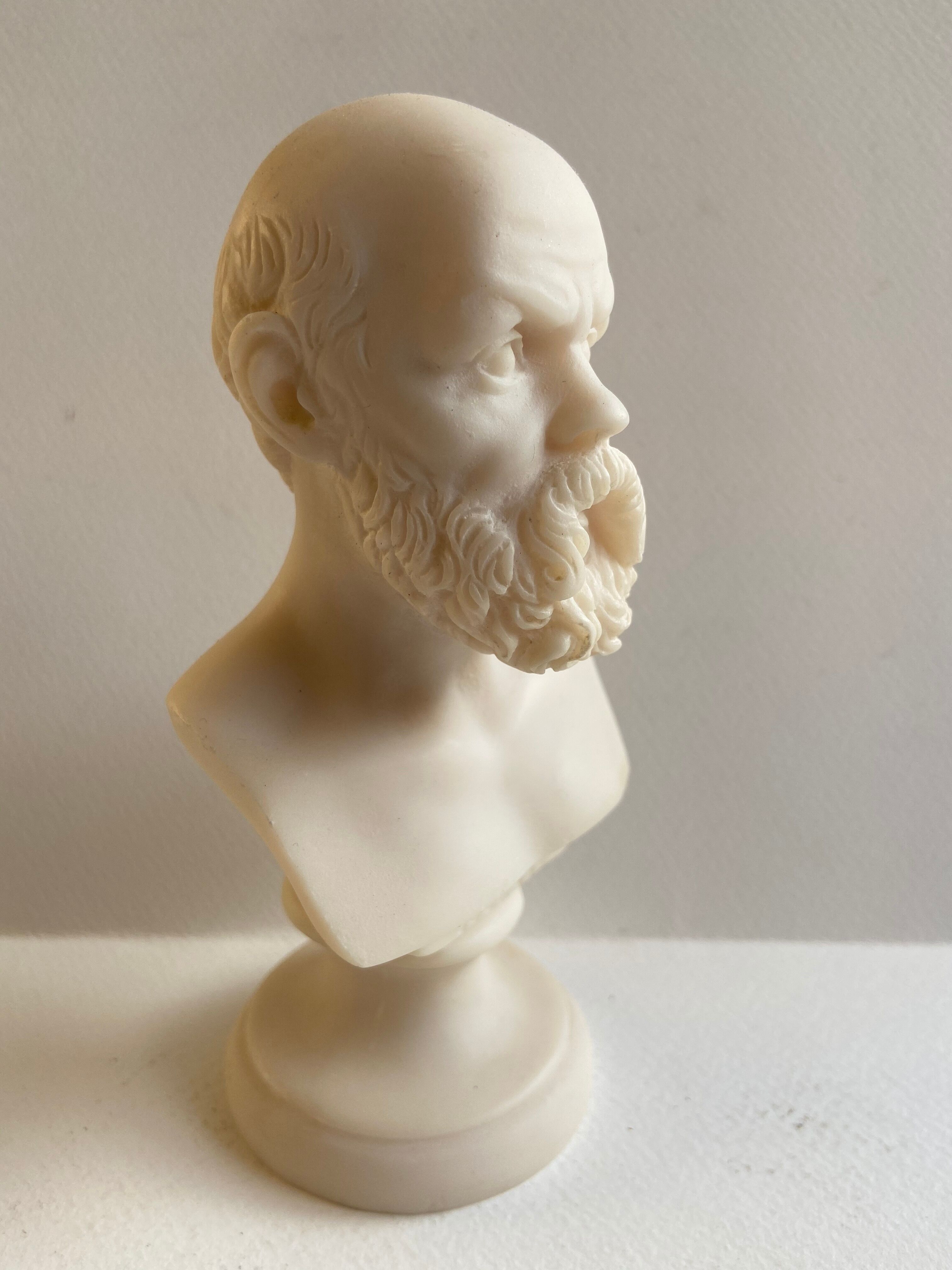 Bust of Socrates