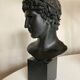 Athlete's head winner Greco Roman antiquities Louvre Museum