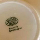 porcelaine Superbe lot de 5 grandes tasses et 4 sous tasses bavaria germany