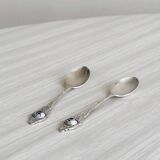 Two small metal spoons