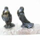 Serres livres oiseaux anciens