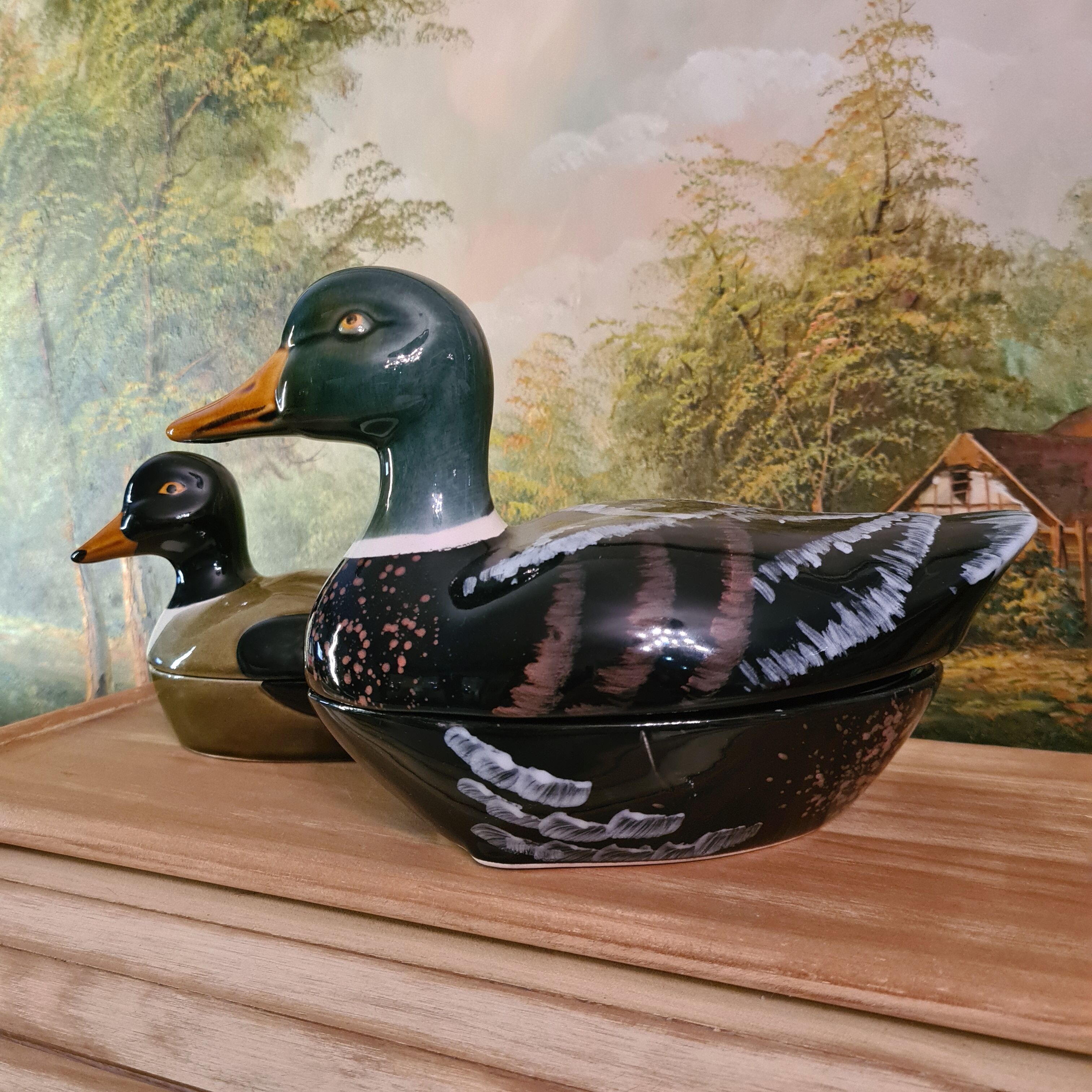 Terrine caugant duck