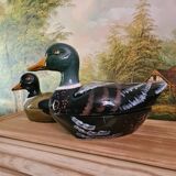 Terrine caugant duck