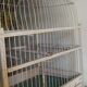 Old cage