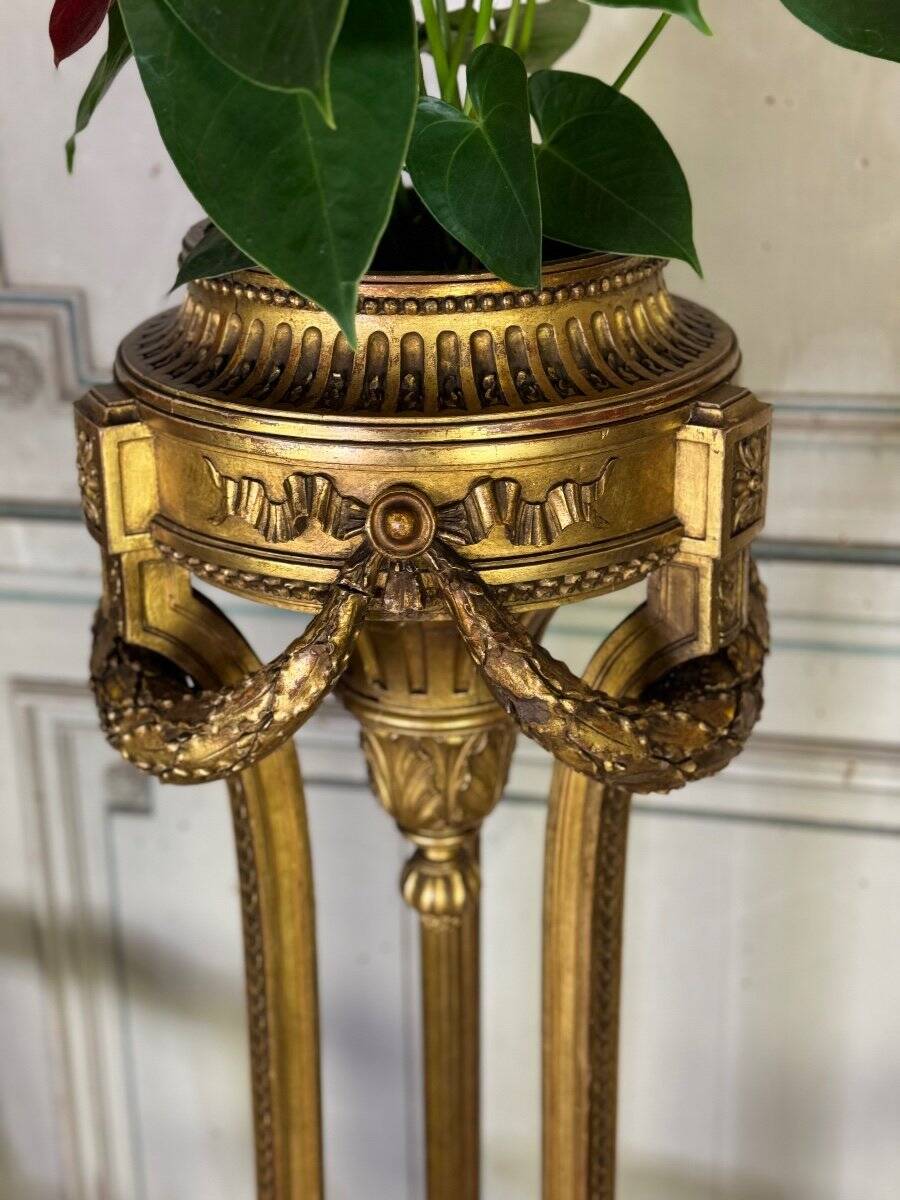 Louis XVI style planter in carved and gilded wood circa 1900
