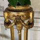 Louis XVI style planter in carved and gilded wood circa 1900