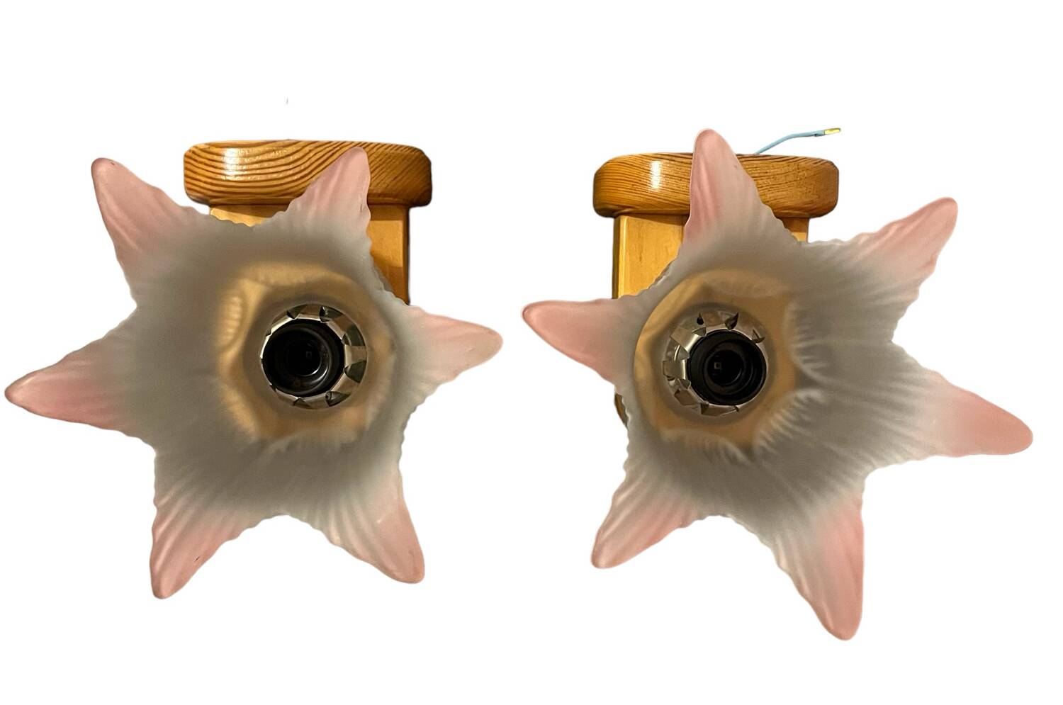 Pair of glass flower pine wall lights