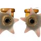 Pair of glass flower pine wall lights