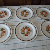 Flat vegetable plates arcopal france l2