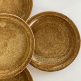 5 stoneware dessert plates