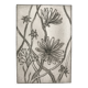 Vilayne hulné, study of clematis, 1984. original etching signed in pencil