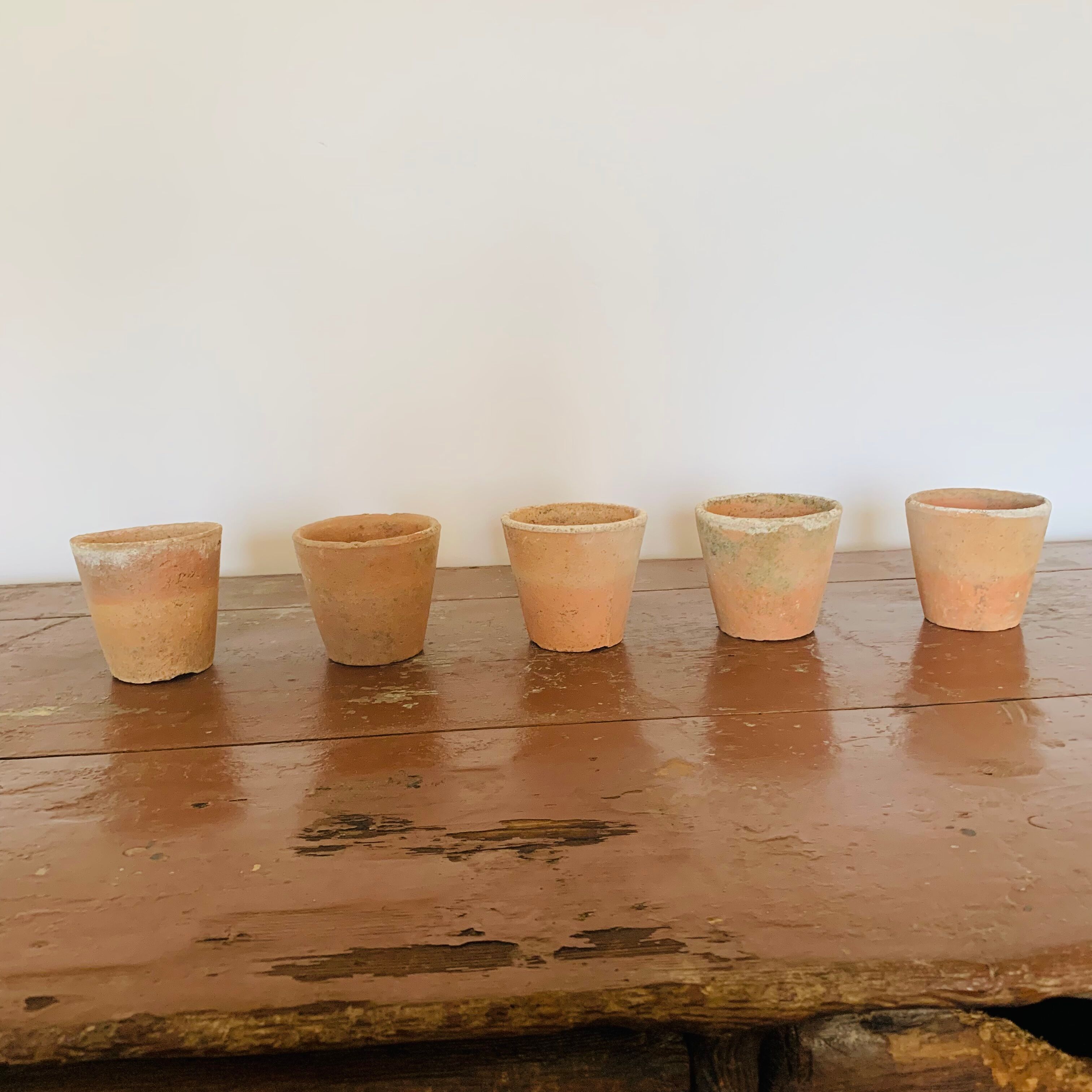 Lot of 5 terracotta pots circa 1930 graineterie