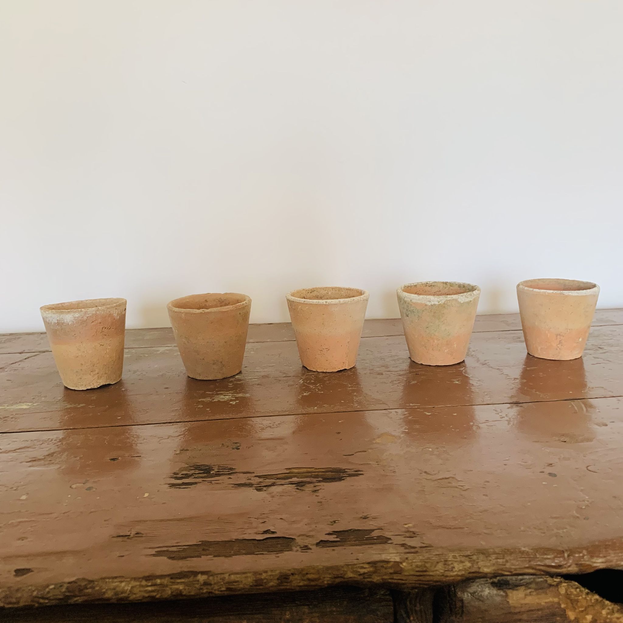Lot de 5 pots en terre cuite circa 1930 graineterie