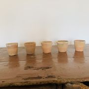 Lot de 5 pots en terre cuite circa 1930 graineterie