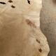 Vintage cowhide carpet 1970 2m30x1m90