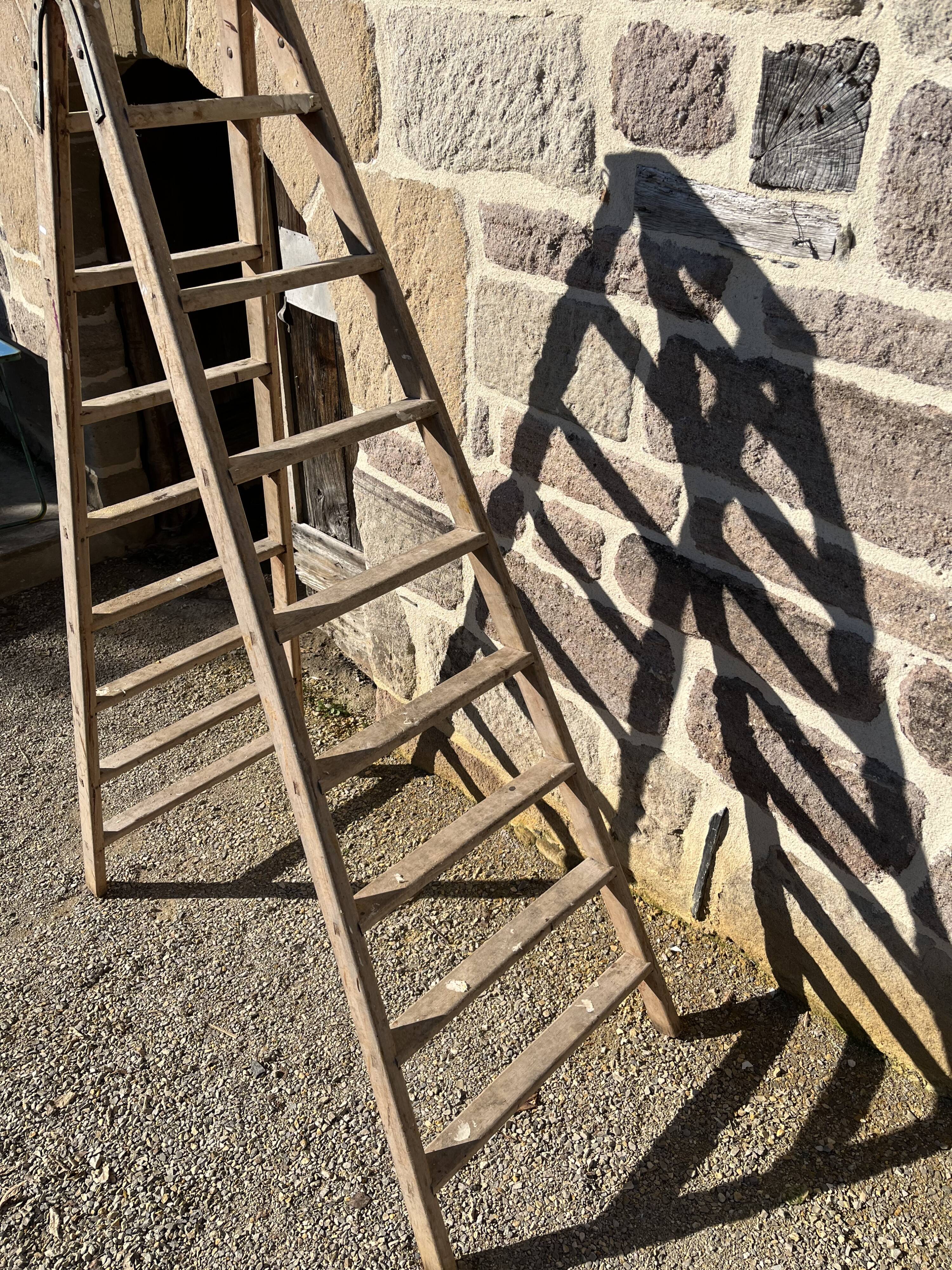 Old stepladder