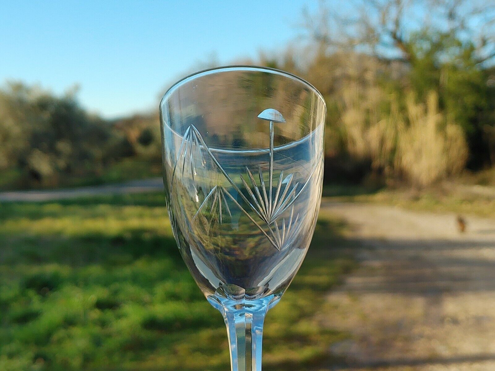 7 Cut Crystal Wine Glasses Faceted leg Baccarat, Saint Louis ??