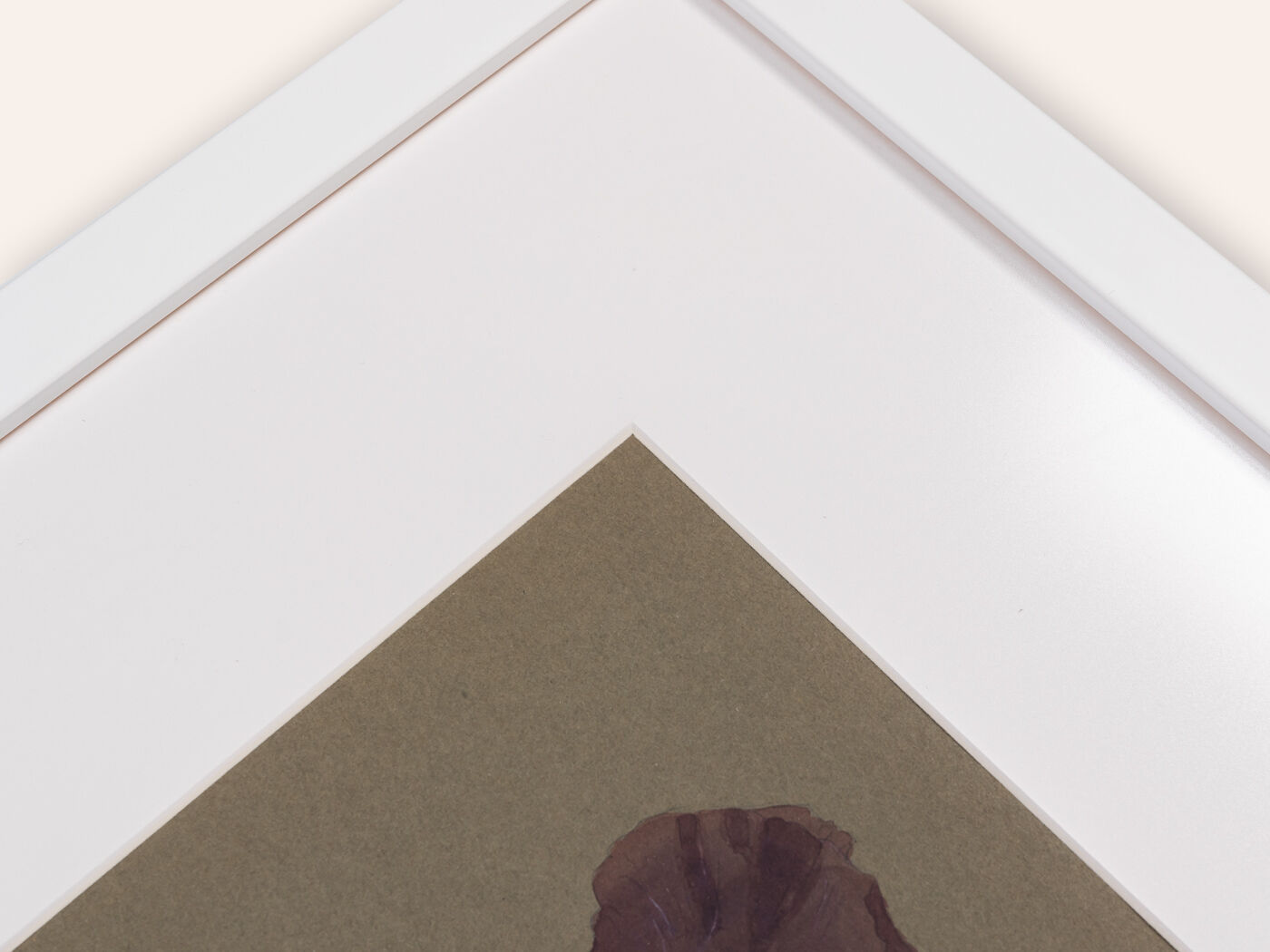 Poppy, Aquarelle on Paper, 42 x 52 cm