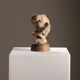 Sculpture ‚Metamorphose‘ by Hans-Hermann Lippold | Germany 1971
